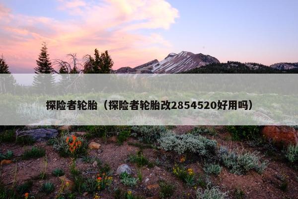 探险者轮胎（探险者轮胎改2854520好用吗）