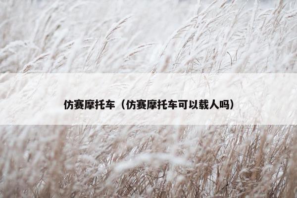 仿赛摩托车（仿赛摩托车可以载人吗）