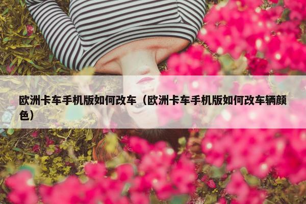 欧洲卡车手机版如何改车（欧洲卡车手机版如何改车辆颜色）