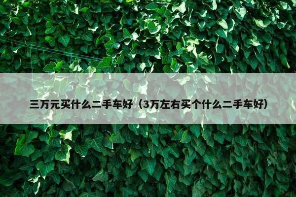 三万元买什么二手车好（3万左右买个什么二手车好）