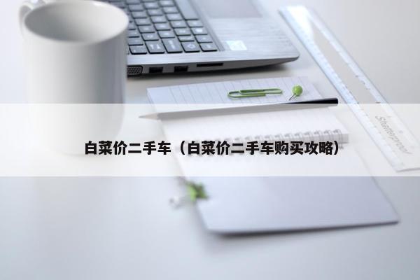 白菜价二手车（白菜价二手车购买攻略）
