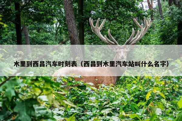 木里到西昌汽车时刻表（西昌到木里汽车站叫什么名字）