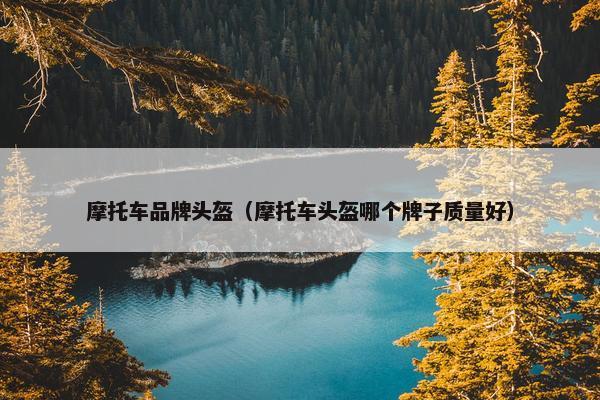 摩托车品牌头盔（摩托车头盔哪个牌子质量好）