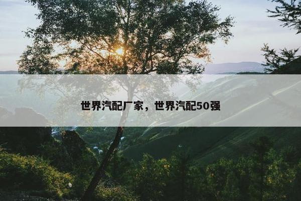 世界汽配厂家，世界汽配50强