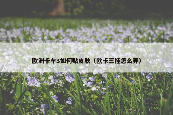 欧洲卡车3如何贴皮肤（欧卡三挂怎么弄）