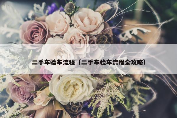 二手车验车流程（二手车验车流程全攻略）