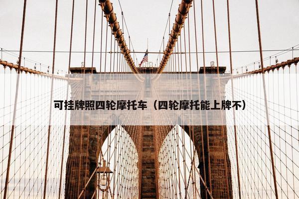 可挂牌照四轮摩托车（四轮摩托能上牌不）