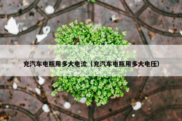 充汽车电瓶用多大电流（充汽车电瓶用多大电压）