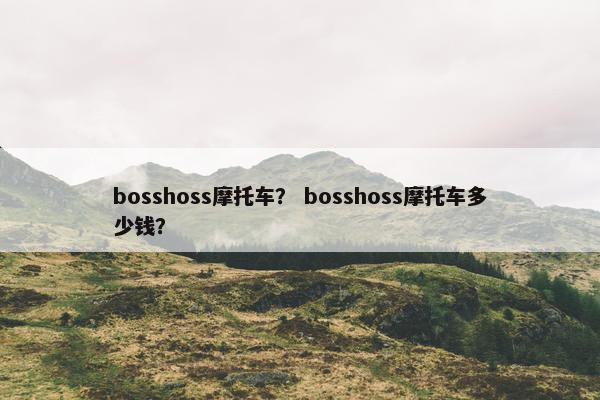 bosshoss摩托车？ bosshoss摩托车多少钱？