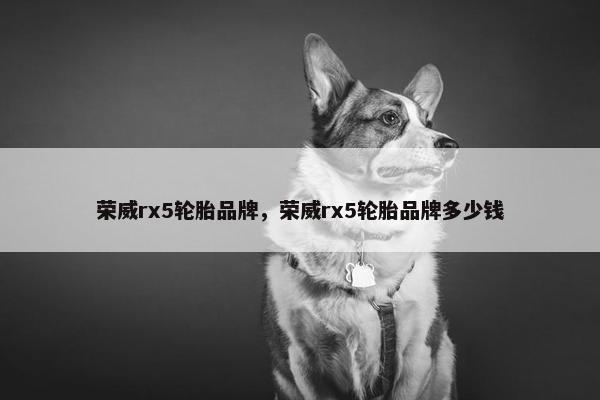 荣威rx5轮胎品牌，荣威rx5轮胎品牌多少钱