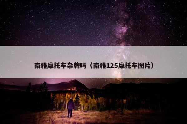 南雅摩托车杂牌吗（南雅125摩托车图片）