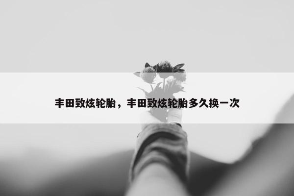 丰田致炫轮胎，丰田致炫轮胎多久换一次