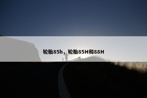 轮胎85h，轮胎85H和88H
