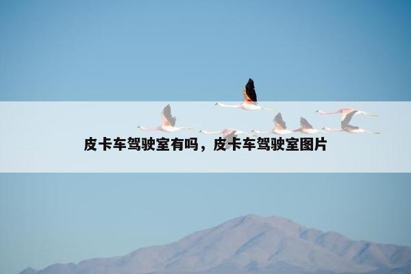 皮卡车驾驶室有吗，皮卡车驾驶室图片