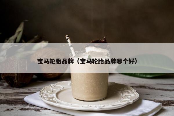 宝马轮胎品牌（宝马轮胎品牌哪个好）