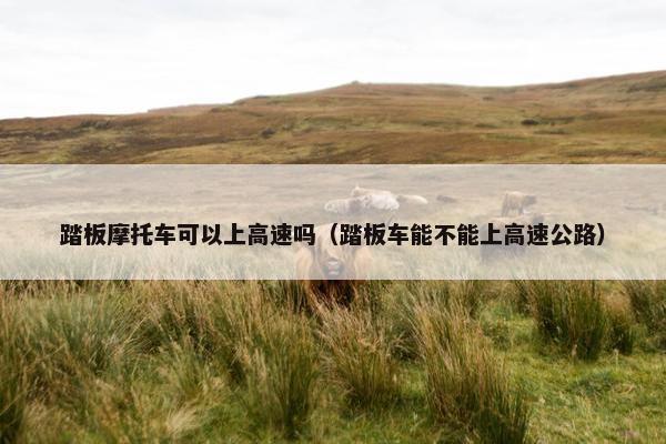 踏板摩托车可以上高速吗（踏板车能不能上高速公路）