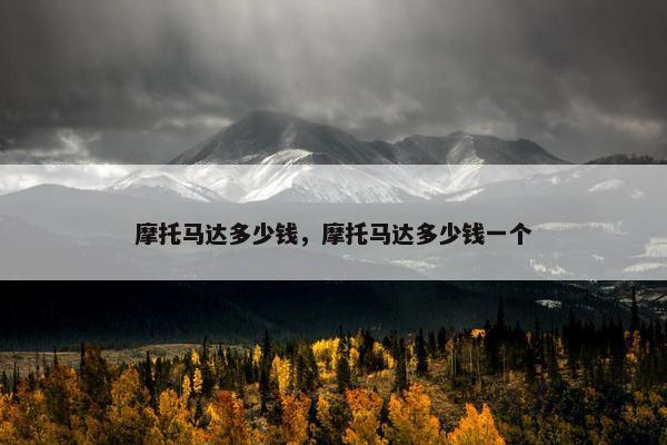 摩托马达多少钱，摩托马达多少钱一个