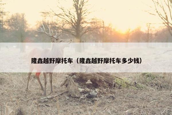 隆鑫越野摩托车（隆鑫越野摩托车多少钱）