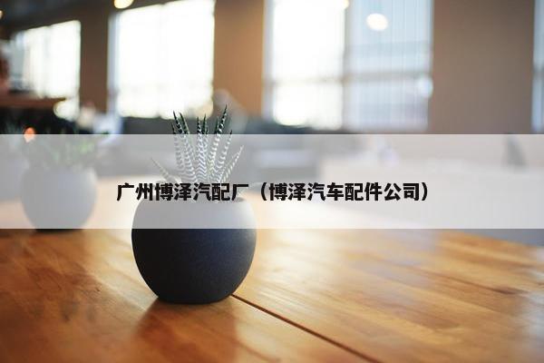 广州博泽汽配厂（博泽汽车配件公司）