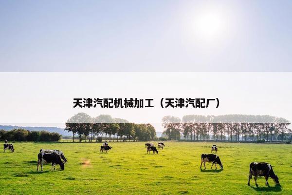 天津汽配机械加工（天津汽配厂）