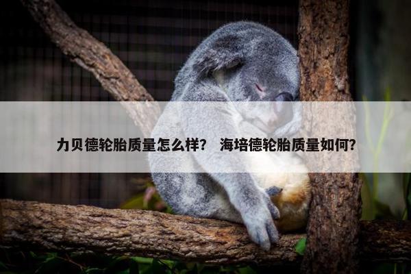 力贝德轮胎质量怎么样？ 海培德轮胎质量如何？
