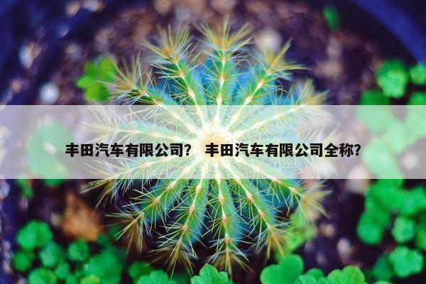丰田汽车有限公司？ 丰田汽车有限公司全称？