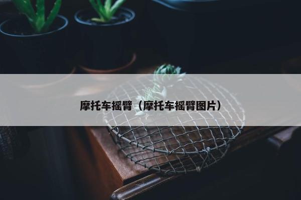 摩托车摇臂（摩托车摇臂图片）