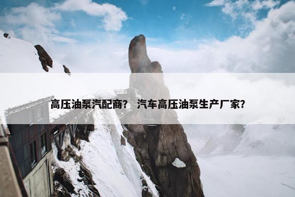 高压油泵汽配商？ 汽车高压油泵生产厂家？