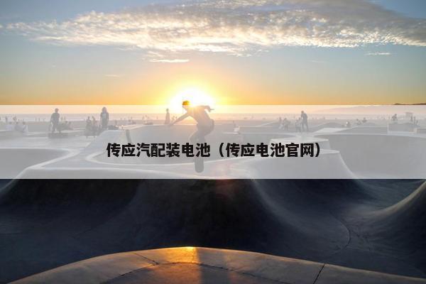 传应汽配装电池（传应电池官网）
