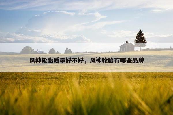风神轮胎质量好不好，风神轮胎有哪些品牌