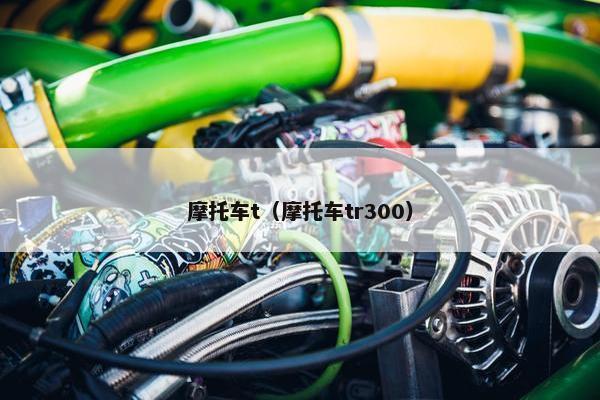 摩托车t（摩托车tr300）