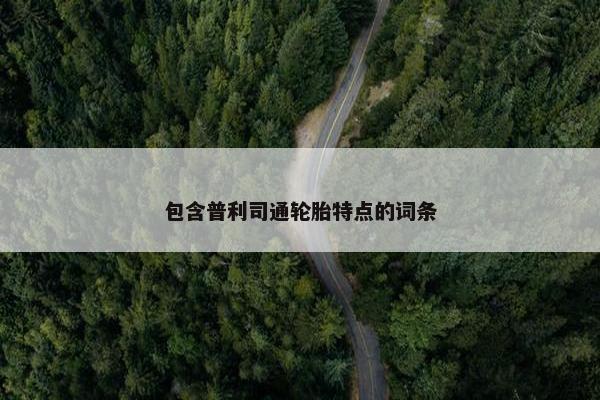 包含普利司通轮胎特点的词条