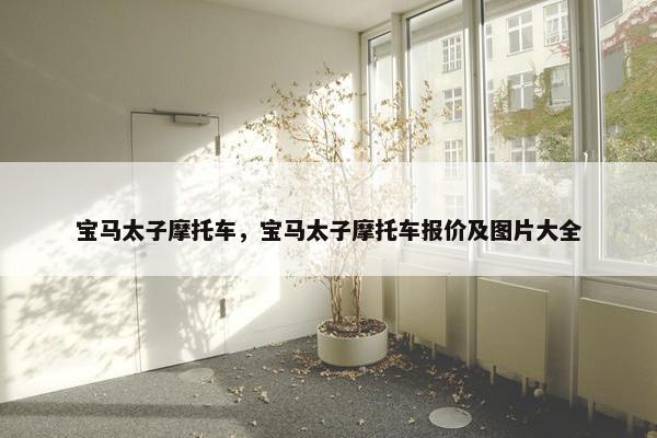 宝马太子摩托车，宝马太子摩托车报价及图片大全