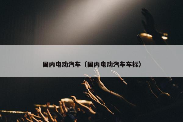 国内电动汽车（国内电动汽车车标）