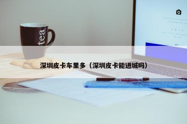 深圳皮卡车里多（深圳皮卡能进城吗）