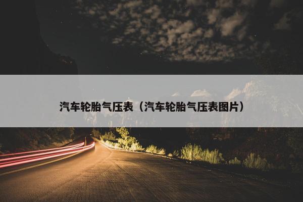 汽车轮胎气压表（汽车轮胎气压表图片）