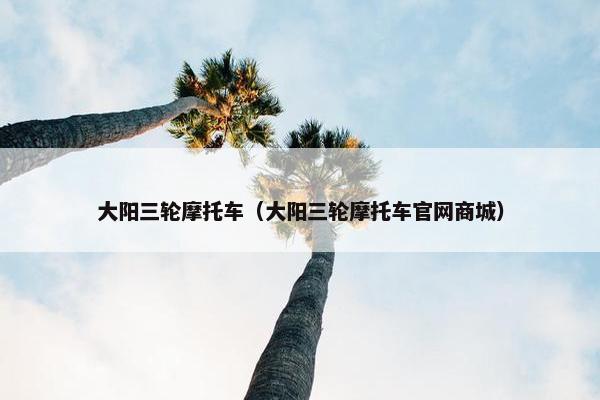 大阳三轮摩托车（大阳三轮摩托车官网商城）