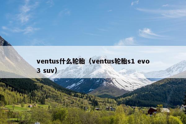 ventus什么轮胎（ventus轮胎s1 evo3 suv）