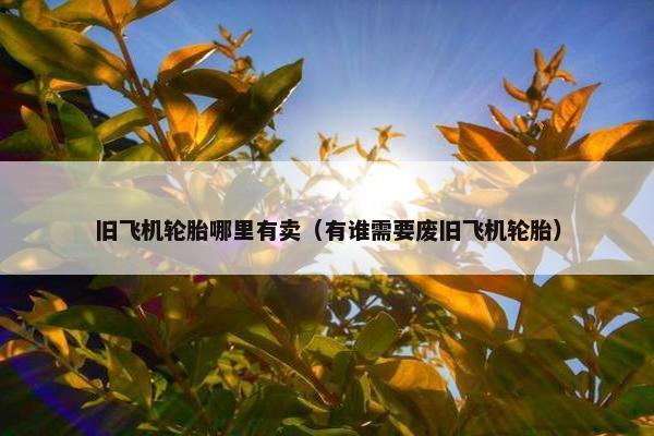 旧飞机轮胎哪里有卖（有谁需要废旧飞机轮胎）