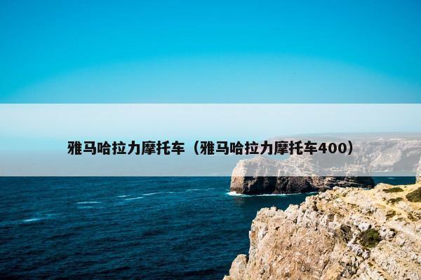 雅马哈拉力摩托车（雅马哈拉力摩托车400）