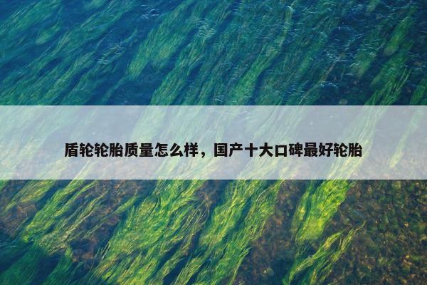 盾轮轮胎质量怎么样，国产十大口碑最好轮胎