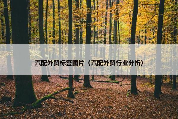 汽配外贸标签图片（汽配外贸行业分析）