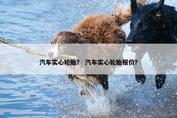 汽车实心轮胎？ 汽车实心轮胎报价？