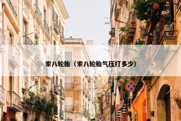 索八轮胎（索八轮胎气压打多少）