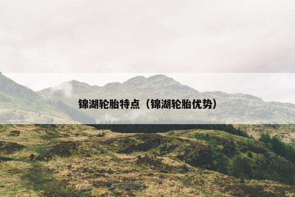 锦湖轮胎特点（锦湖轮胎优势）