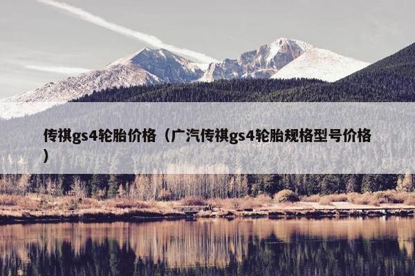 传祺gs4轮胎价格（广汽传祺gs4轮胎规格型号价格）