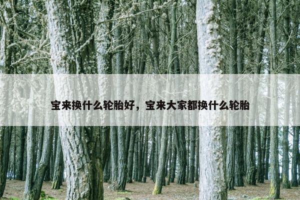 宝来换什么轮胎好，宝来大家都换什么轮胎