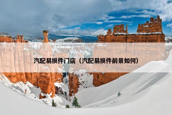 汽配易损件门店（汽配易损件前景如何）