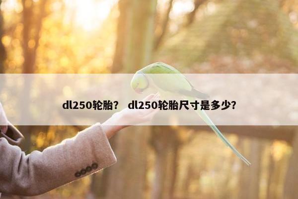 dl250轮胎？ dl250轮胎尺寸是多少？
