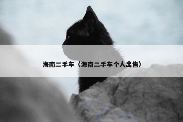 海南二手车（海南二手车个人出售）